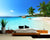 3D Wallpaper Seaside Palm Beach SKU# WAL0294