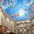3D Ceiling Sky White Clouds SKU# WAL0172