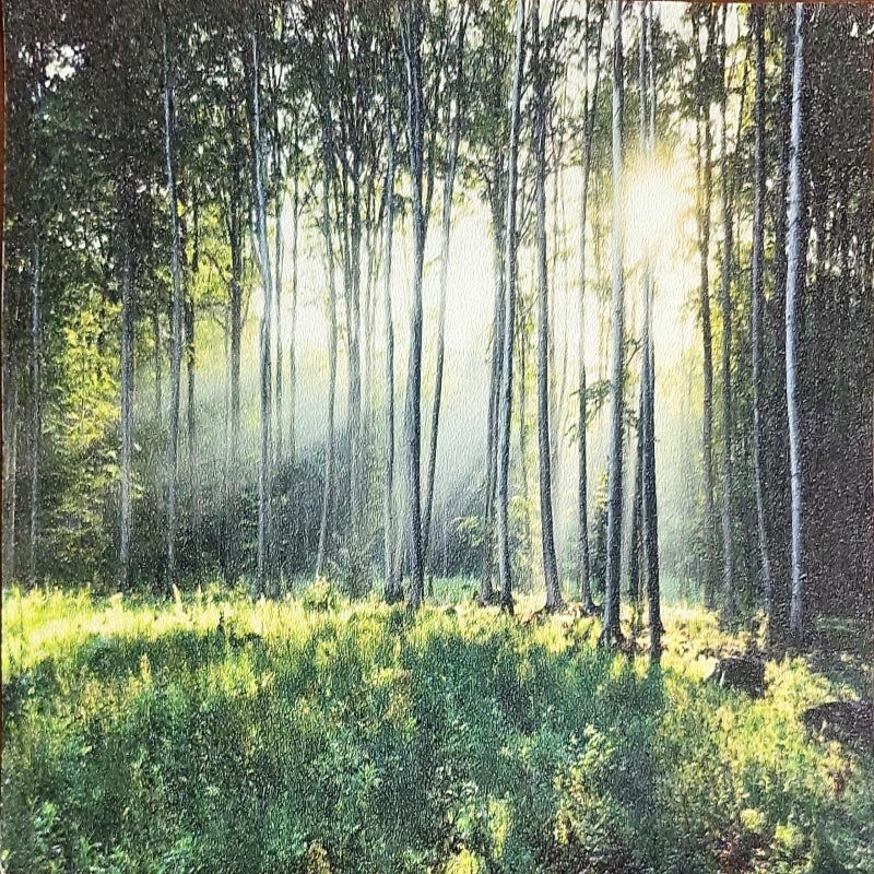 3D Wallpaper Path to Evermore III SKU# WAL0690