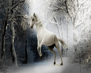 3D Wallpaper Horse & Nature Scenery SKU# WAL0478