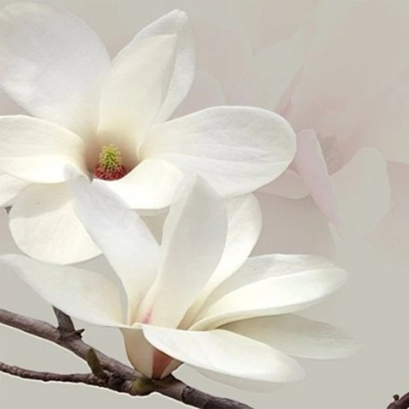 3D Wallpaper Floral Scenery for Wall Treatment