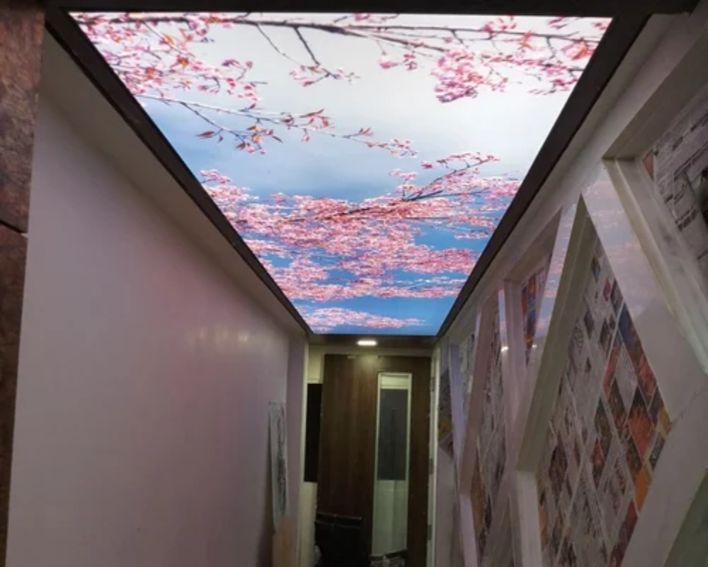 Led Mural Custom LED 3D Ceiling / Wall Murals - Nexus Reno & Decor