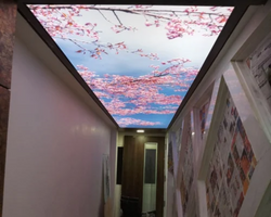 Custom LED 3D Ceiling / Wall Murals