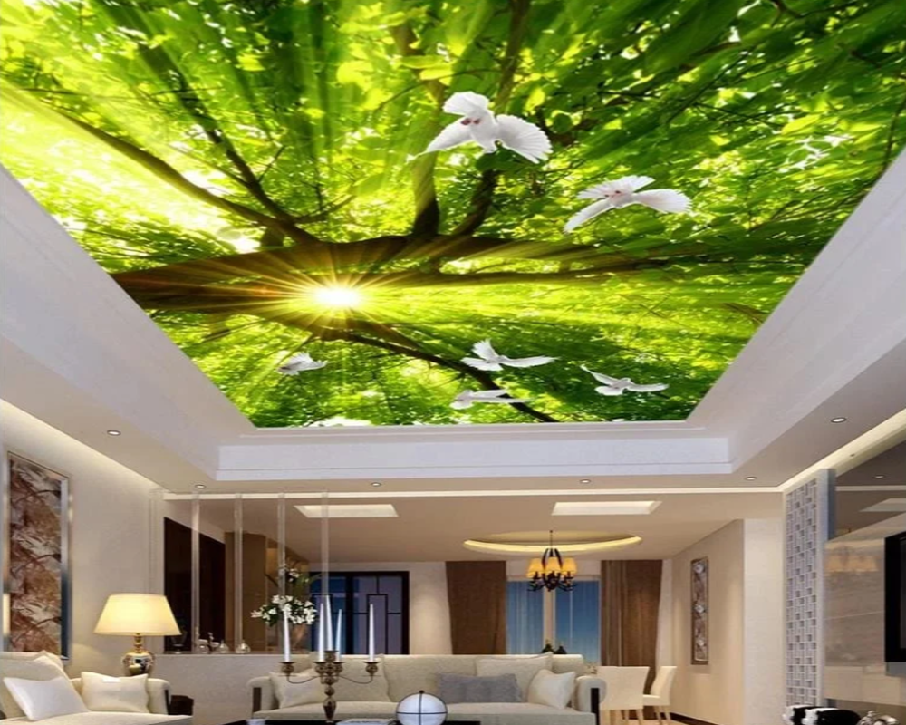 Custom LED 3D Ceiling / Wall Murals