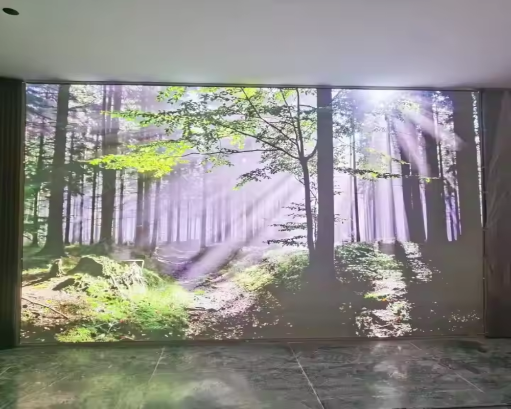 Custom LED 3D Ceiling / Wall Murals