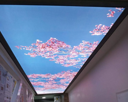 Custom LED 3D Ceiling / Wall Murals