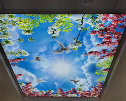 Custom LED 3D Ceiling / Wall Murals