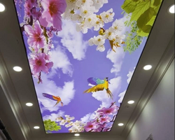 Custom LED 3D Ceiling / Wall Murals