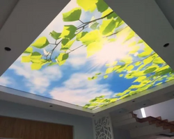 Custom LED 3D Ceiling / Wall Murals