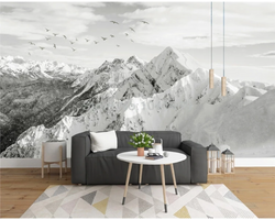 3D Wallpaper Andes Mountains SKU# WAL0105