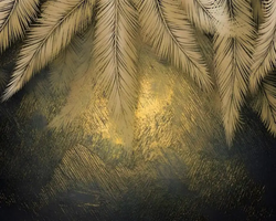 3D Wallpaper Mystic Gold Feathers