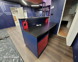 Another World Reception Desk - Custom Made