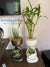 Planters Stonecast Sitting Pots for Mini Plants Home Decor