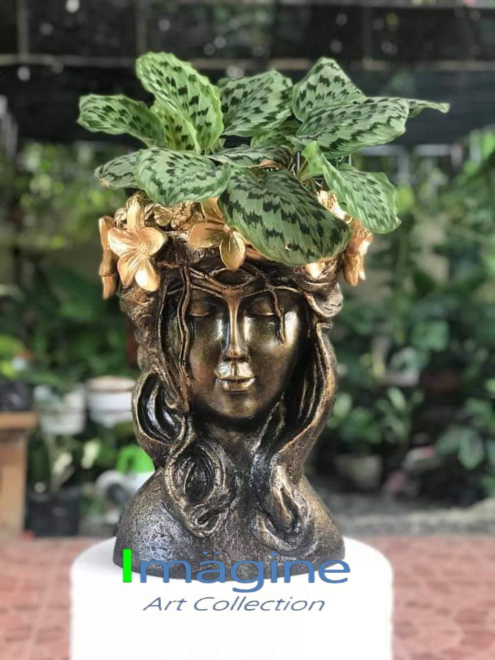 stone cast planters Vaughan