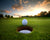 3D Wallpaper Various Golf Greens Scenery SKU# WAL0373