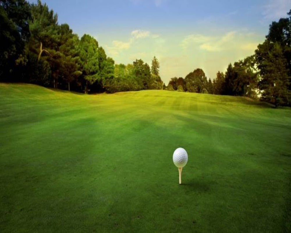3D Wallpaper Various Golf Greens Scenery SKU# WAL0373