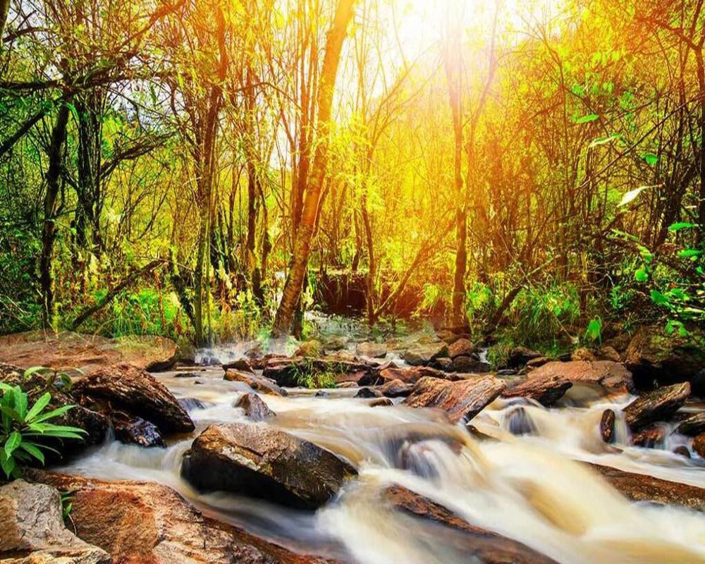 Nature View 3D Wallpaper Natural Mystic Scenery