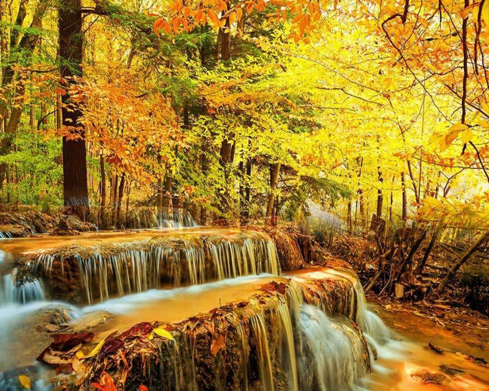 Nature View 3D Wallpaper Natural Mystic Scenery