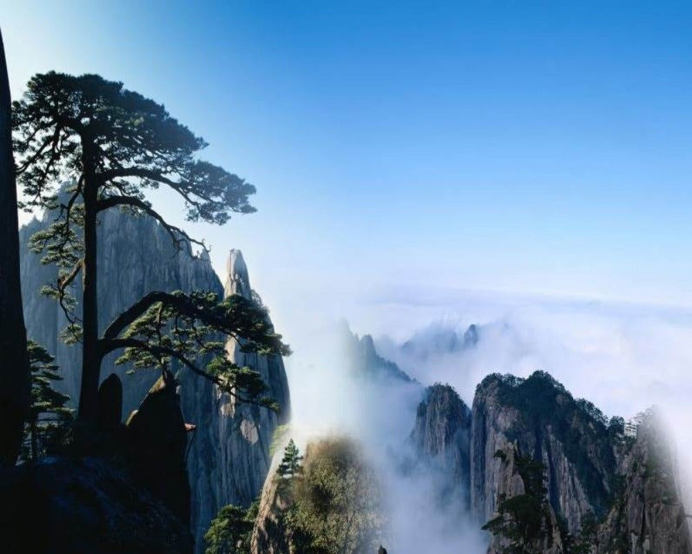 Nature View 3D Wallpaper Natural Mystic Scenery