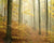 Nature View 3D Wallpaper Natural Mystic Scenery