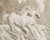 3D Wallpaper Euro Rustic Horse Series III SKU# WAL0345