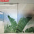 Window Frosted Green Plant Leaf Film SKU# MOS0022