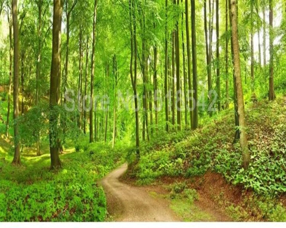 3D Wallpaper Mystic Forest Path SKU# WAL0208