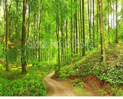 3D Wallpaper Mystic Forest Path SKU# WAL0208