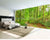 3D Wallpaper Mystic Forest Path SKU# WAL0208