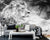 3D Wallpaper White Lion SKU# WAL0165