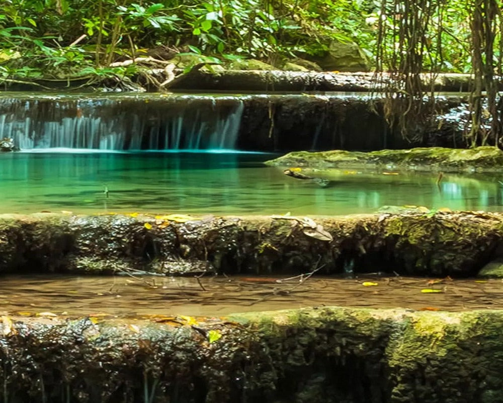 3D Wallpaper Forest Waterfall as Nature Wallpaper