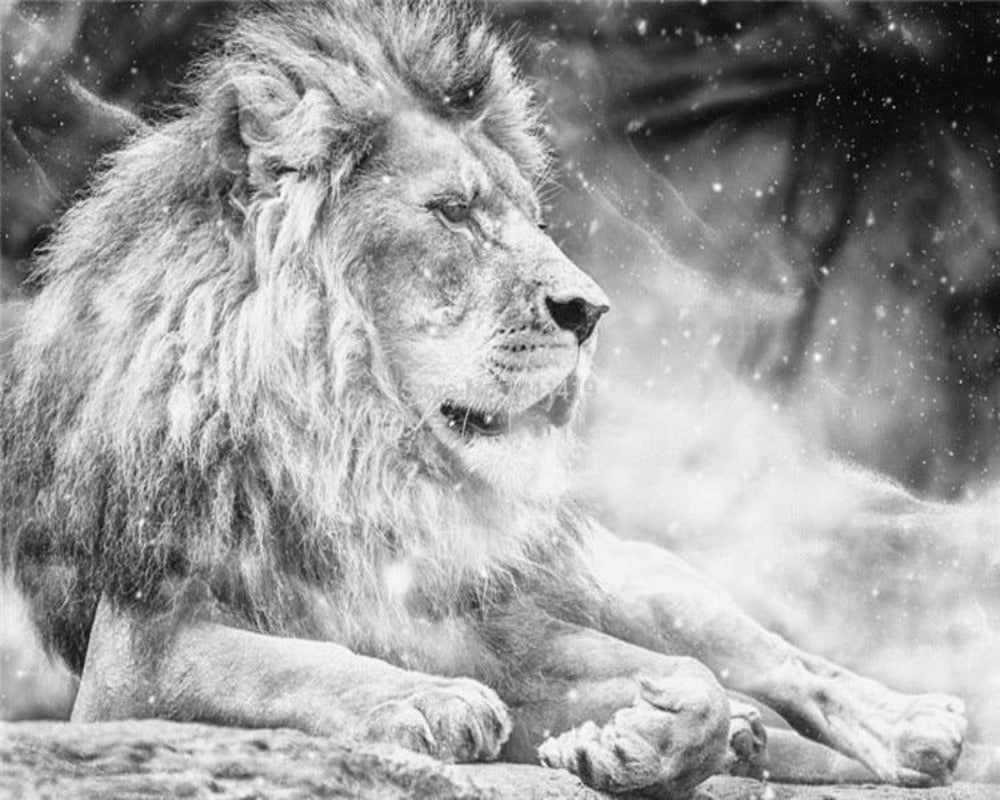 3D Wallpaper White Lion SKU# WAL0165