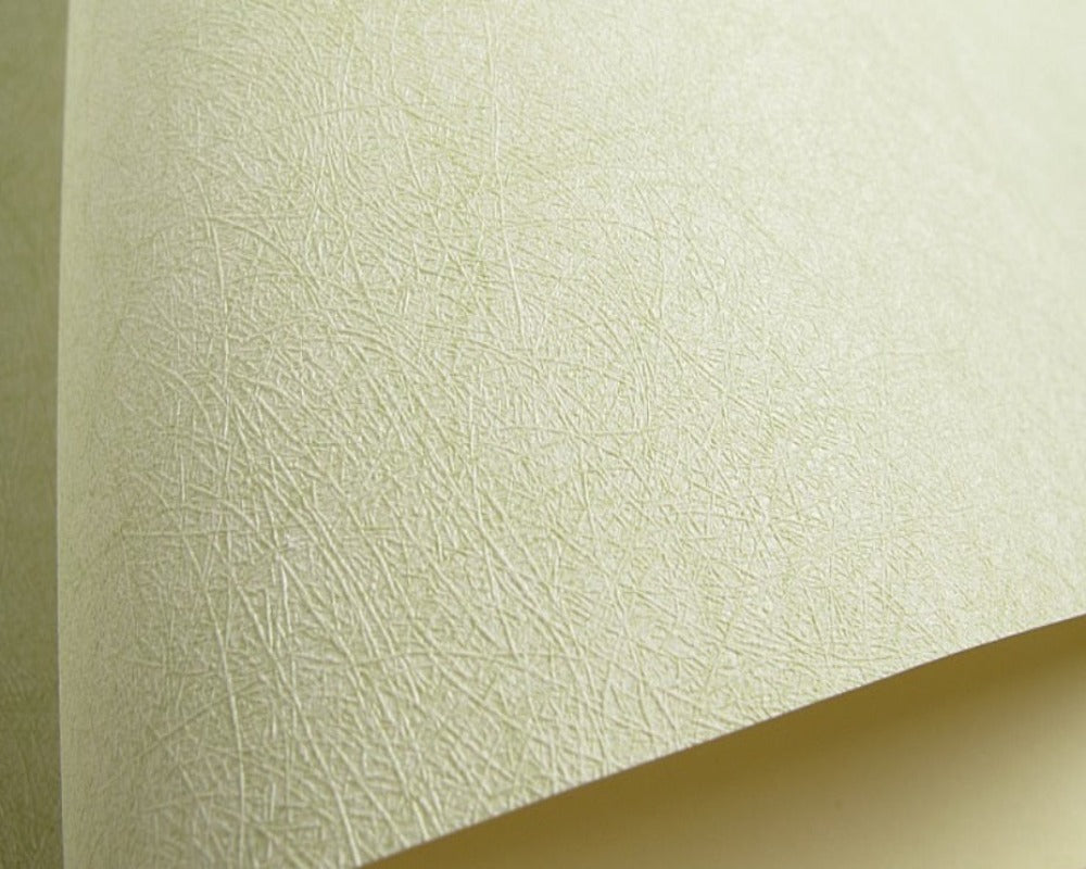 Wallpaper (Roll) Classic Non-Woven SKU# WAL0307