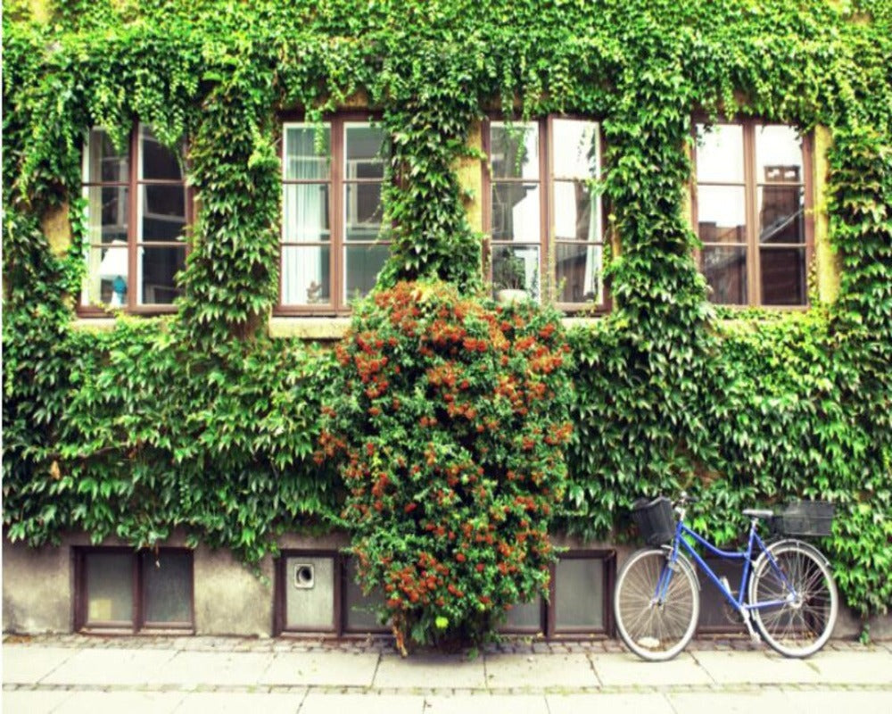 Wallpaper Various European Paintings SKU# WAL0330