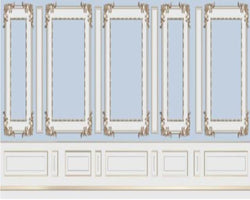 3D Wallpaper Euro Wall Framing