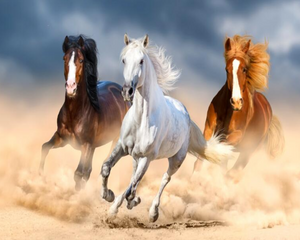 Trendy 3D Wallpaper Running Horses