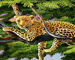 3D Wallpaper Cartoon Animal Jungle SKU# WAL0275