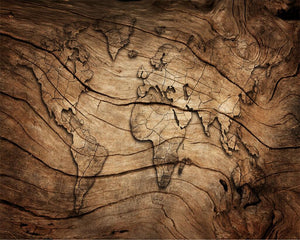 3D Wallpaper Wood World Map SKU# WAL0061