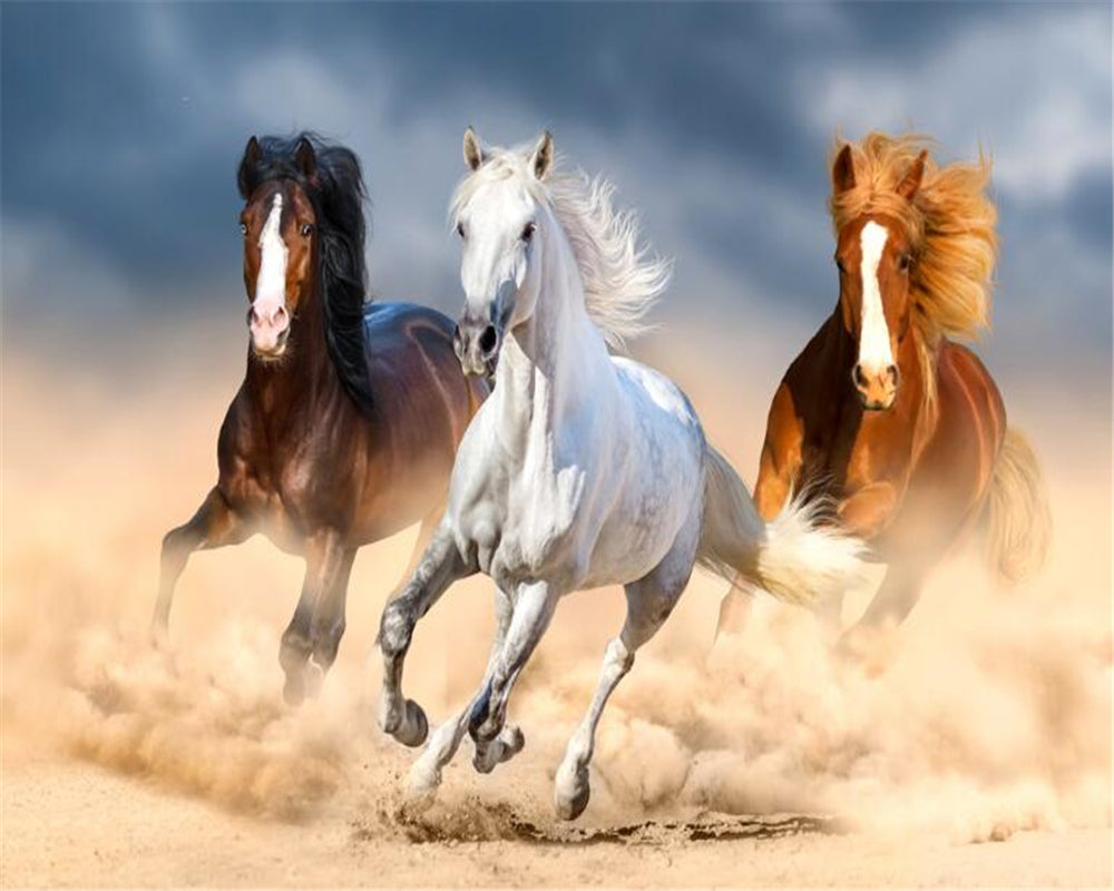 3D Wallpaper Running Horses for Wall Decor