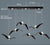 LED Seagull Pendant Light Art White Seagull SKU# LIG0041