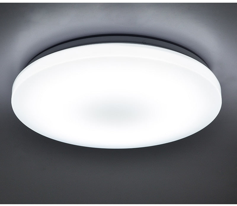 Moon Ceiling Remote Control White Interior SKU# LIG0002