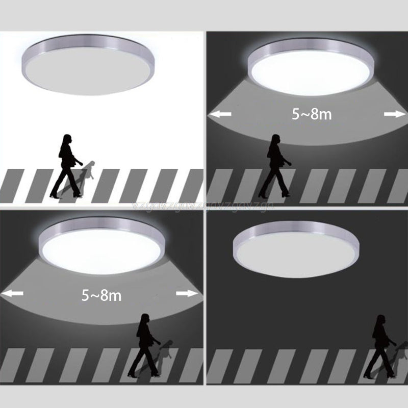 New Motion Sensor/Radar Ceiling Acrylic SKU# LIG0059