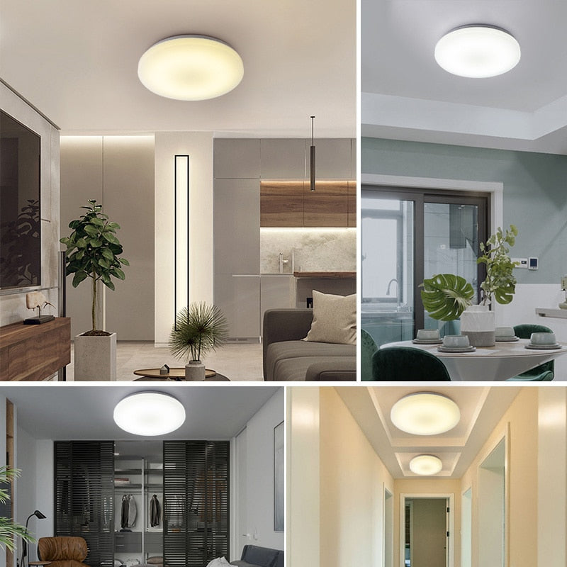 Moon Ceiling Remote Control White Interior SKU# LIG0002